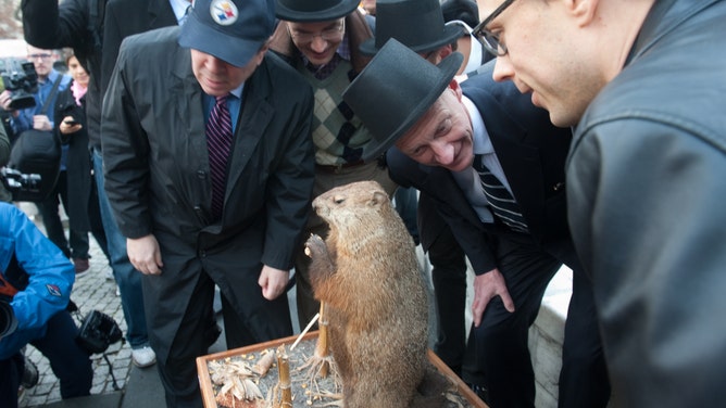 FILE - Politicians and groundhog committee members, from left to right, ANC Commissioner, Mike Silverstein, Dupont Festival Board member, Andy Klingenstein,Ward 2 Councilmember Jack Evans, ANC Commissioner, Kevin O'Connor lean over to hear the grounhog's prediction. A stuffed groundhog, "Potomac Phil", predicted six more weeks of winter during Washington DC's first annual groundhog day celebration in Dupont Circle. (Photo by Sarah L. Voisin/The Washington Post via Getty Images)