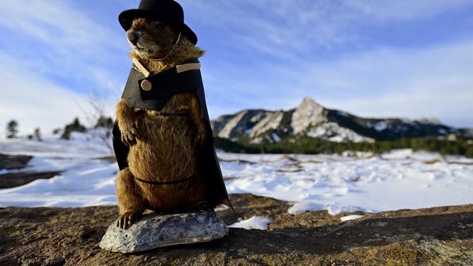 FILE - Flatiron Freddy, a stuffed yellow-bellied marmot, is seen during the annual Groundhog Day Celebration at Chautauqua Park in Boulder on Thursday, Feb. 2, 2023. (Photo by Matthew Jonas/MediaNews Group/Boulder Daily Camera via Getty Images)