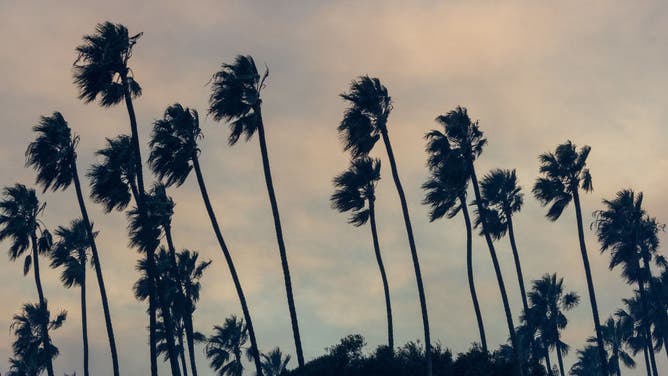 Powerful Winds Fuel Multiple Fires Across Los Angeles Area