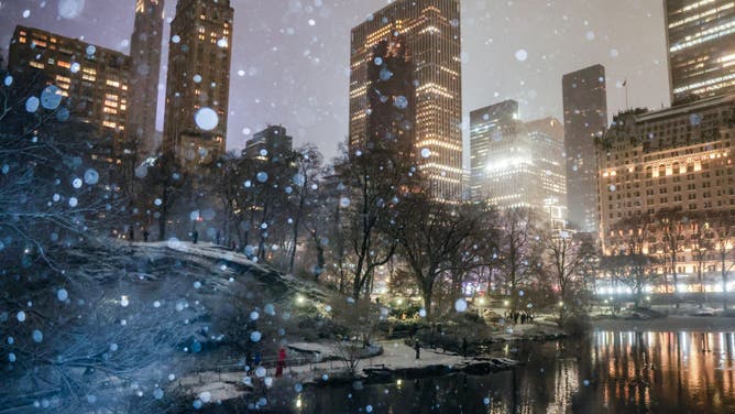 A view of Central Park as snow falls on January 19, 2025 in New York City.