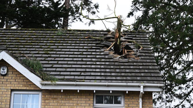 Damage to car and a fallen tree through the roof of a house seen during Storm Éowyn on January 24, 2025 in Newtownabbey, Northern Ireland. The Met Office has issued rare red Warnings for wind for Northern Ireland as well as central and southwestern areas of Scotland. These are accompanied by wider Amber and Yellow Warnings for wind, as well as Yellow Warnings for rain and snow across the UK.