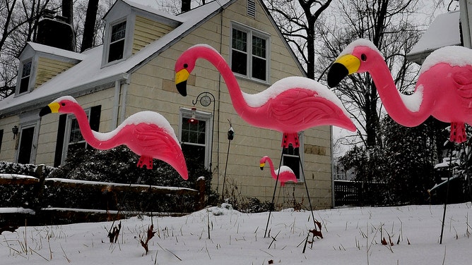 Snow on flamingo yard decorations.