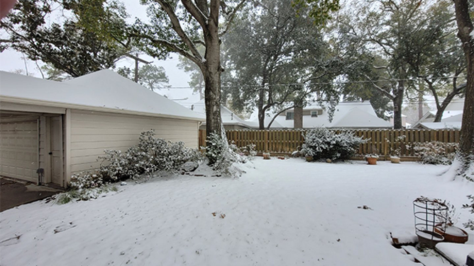 Texas State Sen. Paul Bettencourt shared photos of the snow in Houston as a winter storm slammed the region on Tuesday, Jan. 21, 2025.