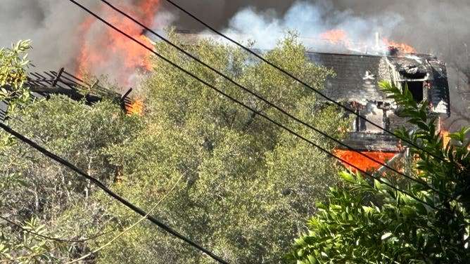 Palisades Fire in Mandeville Canyon, California.