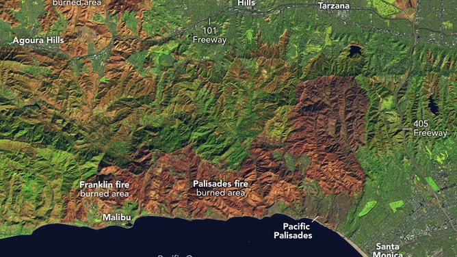 An image of the Palisades Fire burn area in false-color taken by the Operational Land Imager-2 on NASA’s Landsat 9 satellite in January 2025.