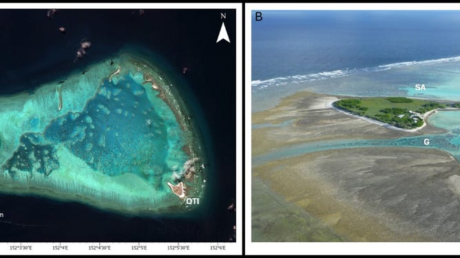 Location of One Tree Island in the southern Great Barrier Reef. (A) Map of northern Queensland with the red dot on insert showing the location of One Tree Island (OTI). (B) The locations where tracking of individual coral colonies was done, the Gutter (G) and Shark Alley (SA) are located adjacent to One Tree Island.