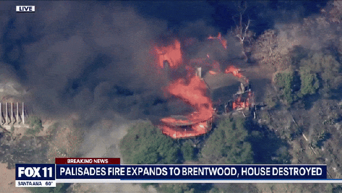 Palisades Fire