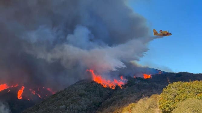 A plane drops water on the Palisades Fire in Los Angeles, CA. 