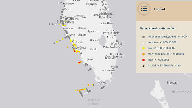 Map of Karenia brevis, the organism responsible for red tide