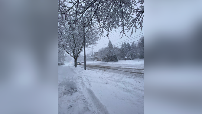 Snowfall in Utica, NY by Thursday afternoon. Jan. 2, 2025.