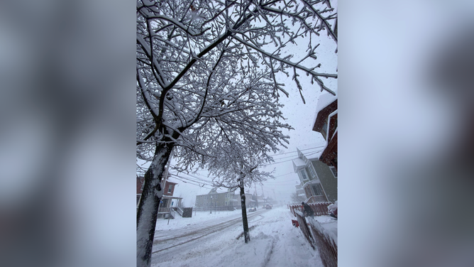 Snowfall in Utica, NY by Thursday afternoon. Jan. 2, 2025.