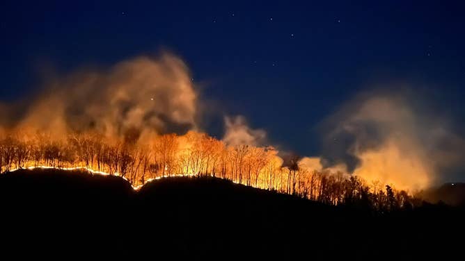 Photo of the Crooked Creek Fire burning on Jan. 29, 2025.