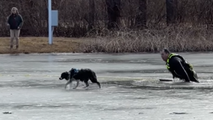 Watch: New Jersey dog tiptoes across thin ice after police officer helps it escape frozen lake