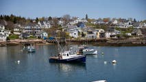 Despite weather challenges, value of Maine lobsters jumps by $46 million