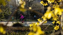 Millions in Northeast face return of winter weather as March begins after brief taste of spring