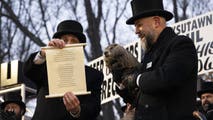 The Groundhog Day verdict is in: Was Punxsutawney Phil right?