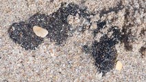 Tar balls wash ashore along Florida beaches ahead of spring break season