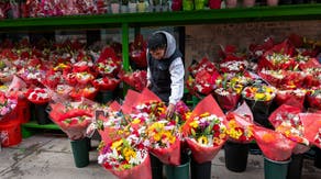 Where do Valentine’s Day flowers come from?