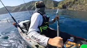 Watch: Terrified kayaker stalked by great white shark