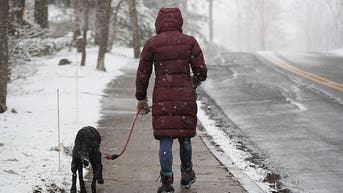 Parade of winter storms to blast across US with snow expected for 200 million in 40 states - Fox News