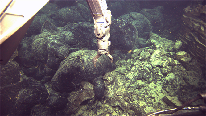 この画像は、米国の西海岸沖の軸方向の時計仕掛けの海での2011年の噴火からの溶岩を示しています。