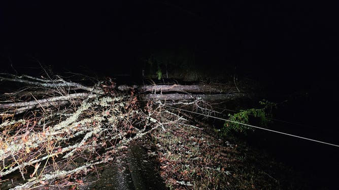 Alabama storm damage from Coffeeville.