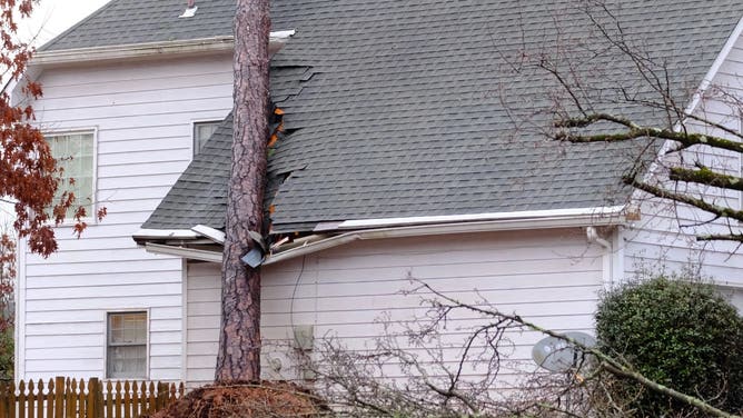 A tree damages a building after severe weather in Rex, Georgia. 