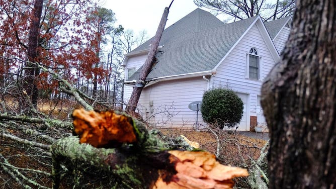 An uprooted tree fell into a home in Rex, Georgia after severe weather. 