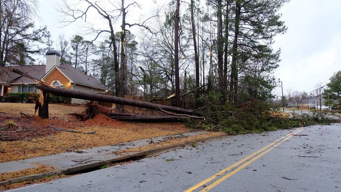A tree fell onto a road in Rex, Georgia. 