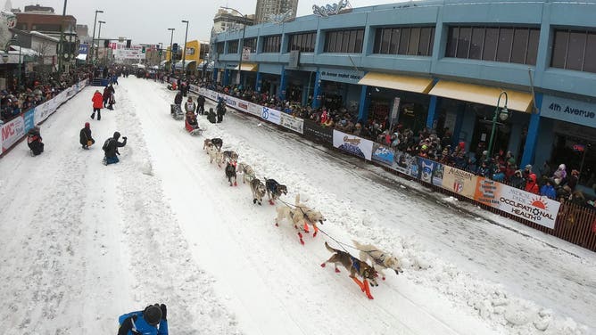 ANCHORAGE, AK - MARCH 07: Linwood Fiedler (Willow, AK) drives his team during the ceremonial start of the 2020 Iditarod Sled Dog Race on March 7, 2020 in Anchorage, Alaska.