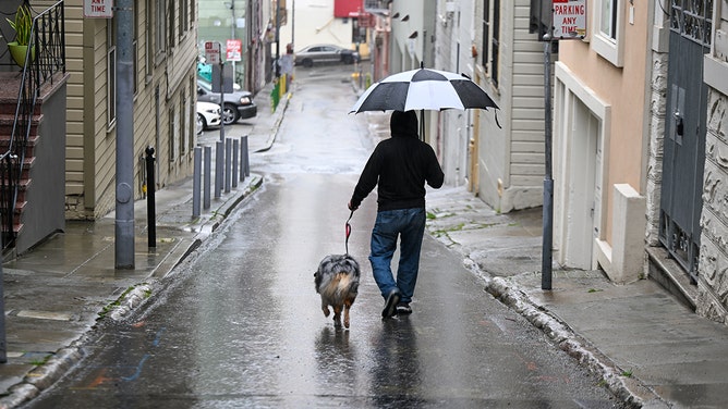 A man walks his dog during a rainy weather in North Beach of San Francisco, California, United States on January 31, 2025.