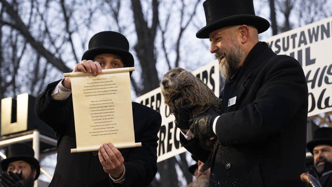 PENNSYLVANIA, UNITED STATES - FEBRUARY 02: Groundhog Club handler A.J. Dereume holds Punxsutawney Phil, the weather prognosticating groundhog, during the 139th celebration of Groundhog Day on Gobbler's Knob in Punxsutawney, Pennsylvania on February 2, 2025. Phil's handlers said that the groundhog has forecast six more weeks of winter. (Photo by Mostafa Bassim/Anadolu via Getty Images)