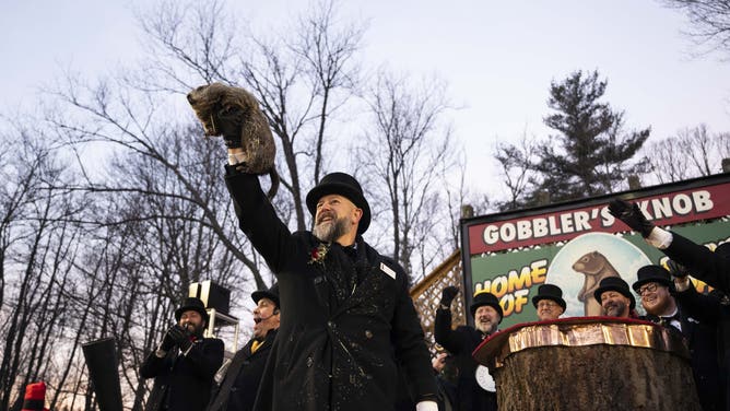 PENNSYLVANIA, UNITED STATES - FEBRUARY 02: Groundhog Club handler A.J. Dereume holds Punxsutawney Phil, the weather prognosticating groundhog, during the 139th celebration of Groundhog Day on Gobbler's Knob in Punxsutawney, Pennsylvania on February 2, 2025. Phil's handlers said that the groundhog has forecast six more weeks of winter. (Photo by Mostafa Bassim/Anadolu via Getty Images)