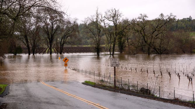 Flooding water from the Russian river floods vineyards from Wohler Road, near Windsor, California, Tuesday, February 4, 2025.