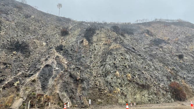 A portion of the Pacific Coast Highway between Malibu and Santa Monica is closed until at least Friday due to mudslides and flooding.