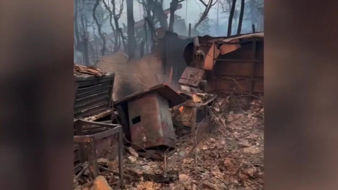 Devastation after the wildfire.