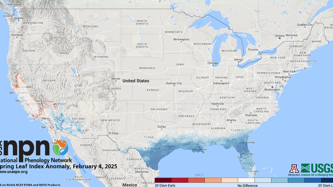 Spring Leaf Index Anomaly on 2/4/2025