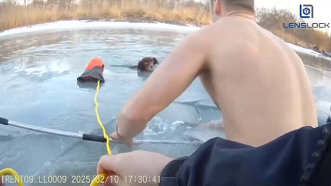 この画像は、警察が今週の初めにミシガン州公園の氷運河から犬を救うことを示しています。