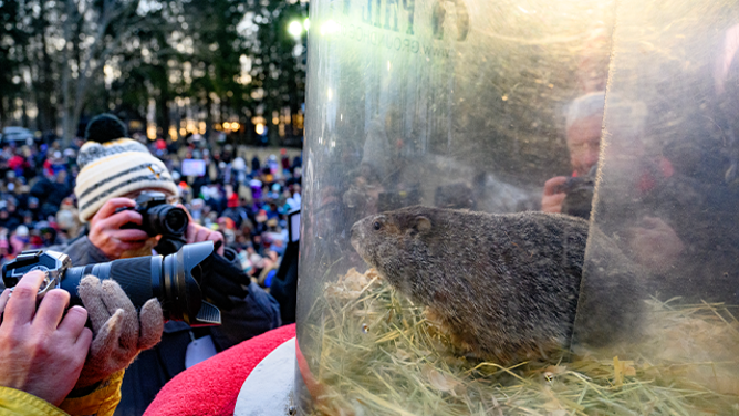 Did Punxsutawney Phil see his shadow or is an early spring on the way