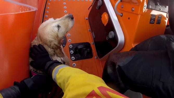 Seren in the rescue boat.