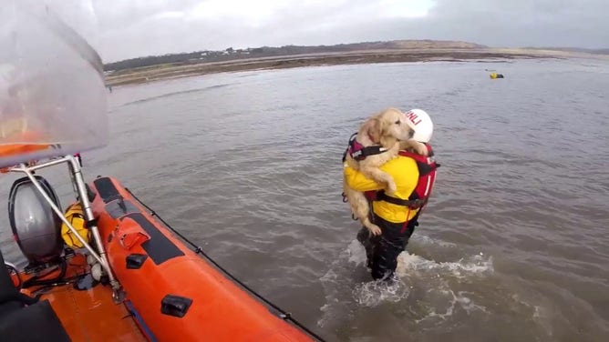 A rescuer bringing Seren back to shore.