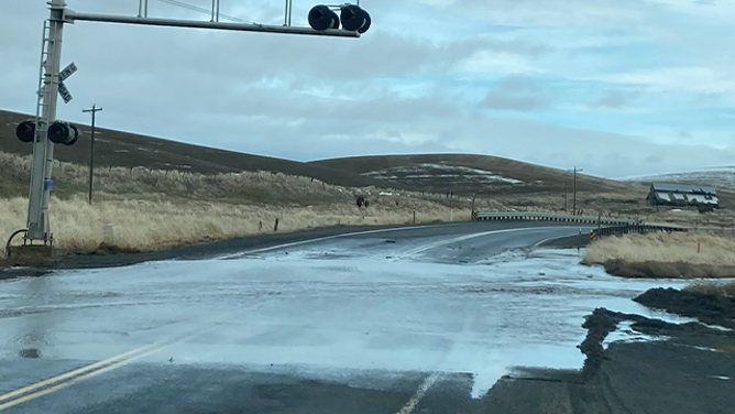 Images shared by the Washington State Department of Transportation show flooding in Whitman County on Sunday, Feb. 23, 2025.