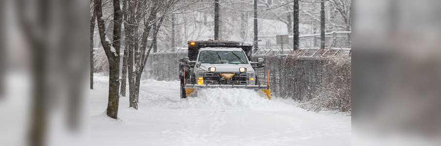 Photos: Rare snowflakes fly in the South as storm charges up the East Coast, dumping inches of snow