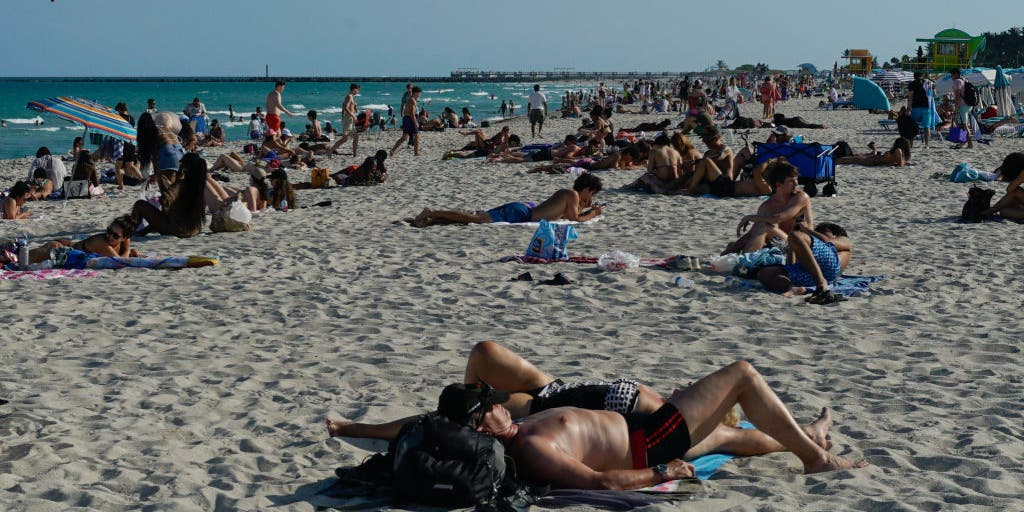 Rise in Dengue Fever cases prompts health alert for popular spring break spots