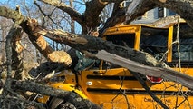 11 injured as tree falls onto school bus in New Jersey