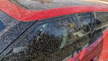 Mystery solved as 'crazy gross rain' dirties cars across hundreds of miles
