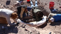 Deer hunter stumbles upon rare mammoth tusk in rugged terrain of West Texas