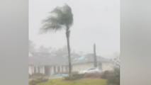 Watch: Woman trapped inside car as Florida tornado hurls debris at it