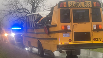 Tree crushes Louisiana school bus as storms with high winds, hail tear across Gulf Coast