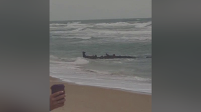 Tropical Cyclone Alfred reveals 130-year-old shipwreck on Australia beach